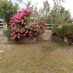 Brudi Vinišće