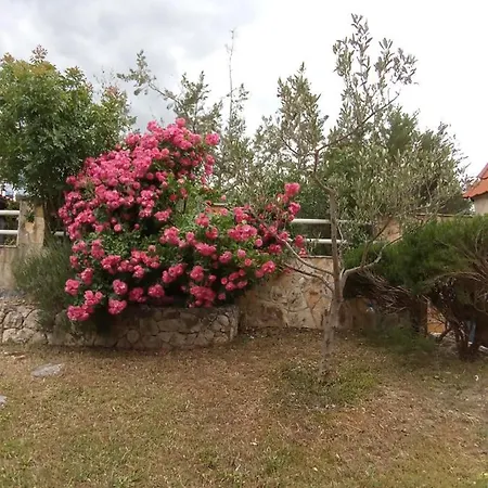 Brudi Apartman