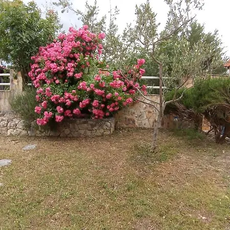 Brudi Vinisce
